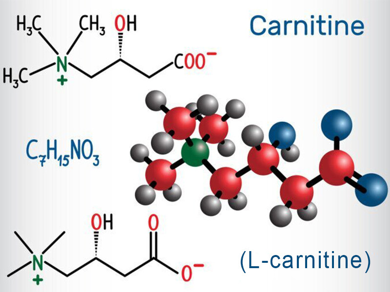 L-carnitine